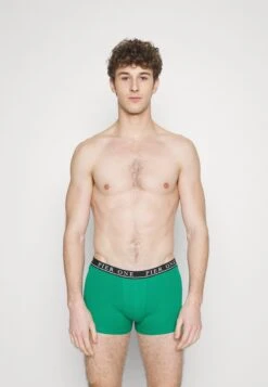 Pier One 5 PACK - Panties - Light Grey/black/green -Pier One Verkaufsgeschäft 848816986ca24fbcb5e57aec8f8eb96c