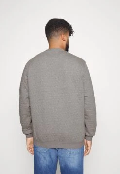 Pier One Sweatshirt - Grey -Pier One Verkaufsgeschäft c564088c3a73467da691477ad379a634